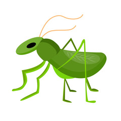 Grasshopper symbol of good luck. Isolated vector item on white background. Success symbol. Simple design.