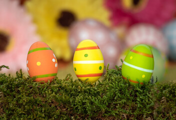 easter eggs in grass