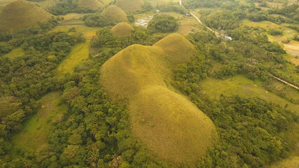 Amazingly shaped Chocolate hills on sunny day on Bohol island, Philippines. Aerial view Chocolate Hills in Bohol, Philippines are earth mounds scattered all over the town of Carmen. Travel concept.