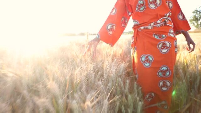 African woman in traditional clothes walking with her hand touching and feeling the crops, wheat or barley, in a farm field in Africa at sunset or sunrise