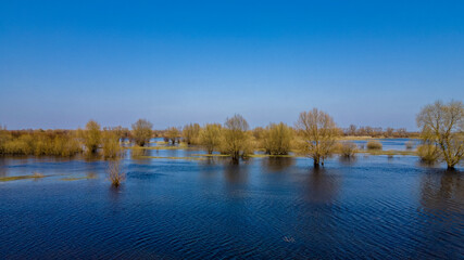 Aerial view of river flood. Beautiful flooded meadow. Flying above beautiful Pripyat river when the river is full of water at spring. Nature concept.