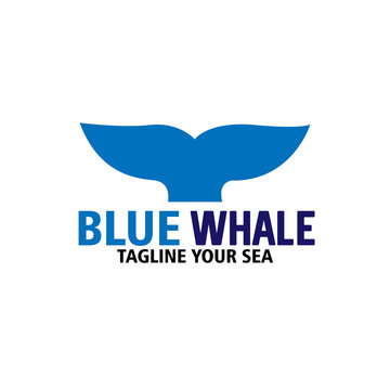 whale design logo vector. whale animal vector