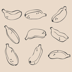Collage of nine fruits. Set of hand drawn bananas. Minimalist charcoal outlines. Isolated on beige. Illustrations for grocery stores, cover designs, interiors, advertisements, grocery stores, menus.