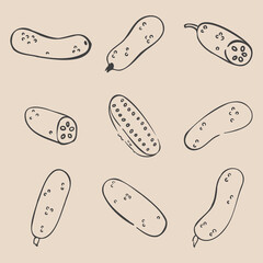 Collage of nine vegetables. Set of hand drawn cucumbers. Minimalist charcoal outlines. Isolated on beige. Illustrations for grocery stores, cover design, interiors, advertisements, grocery stores.