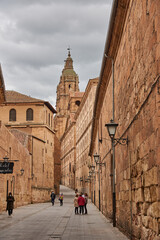 Una preciosa tarde en la ciudad de Salamanca, cielo azul, flores y monumentos.