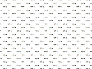 Set of river fish seamless patterns. Fisherman's dream. Suitable for use in printed materials or wrapping paper