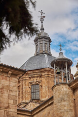 Fototapeta premium Una preciosa tarde en la ciudad de Salamanca, cielo azul, flores y monumentos.