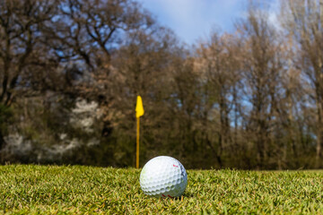 golf ball on the green