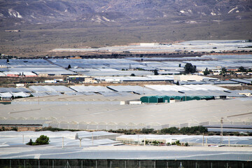Fototapeta na wymiar Panoramic of tomato greenhouses in Cabo de Gata, Almeria