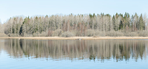 Calm lake reflection in spring. Farnebofjarden national park in north of Sweden.