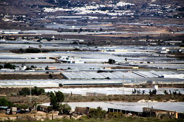 Fototapeta na wymiar Panoramic of tomato greenhouses in Cabo de Gata, Almeria