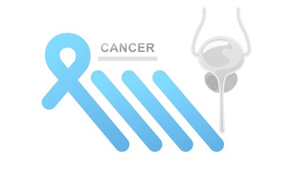 concept vector banner human prostate,