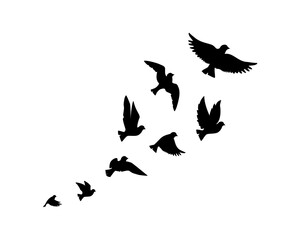 Obraz na płótnie Canvas Flying birds silhouettes isolated on white background, vector. Birds illustration. Wall art, artwork, poster design. Freedom concept