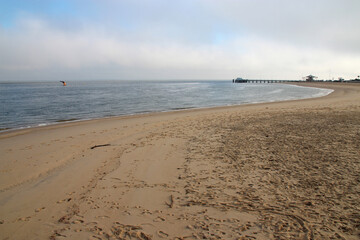 atlantic littoral in arcachon (france) 