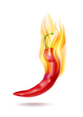 Hot red chili peppers and flames, vector icon, food ingredient and vegetable food.