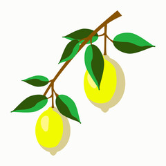 Vector - lemon fruits seamless pattern.