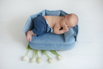 Little infant newborn baby in small blue bed sleeps in the first days of life