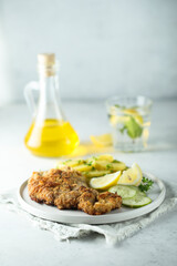 Traditional Austrian schnitzel with potato salad