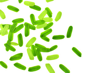 The tamarind leaves are isolated on a white background, suitable for presentations (focus selection).