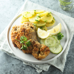Traditional Austrian schnitzel with potato salad