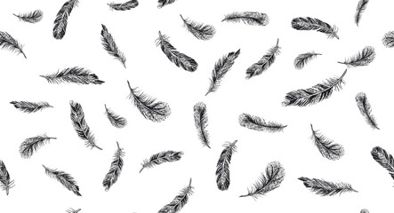 Feathers on white background. Hand drawn sketch style.	
