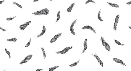 Feathers on white background. Hand drawn sketch style.	
