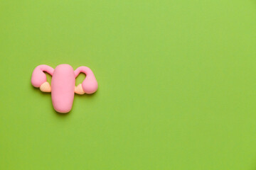 Uterus with ovaries on hreen background with pills. Female reproductive system model. Copy space...
