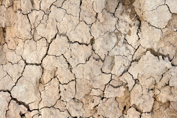 Brown dry cracked soil background. Dry land ground background. Top view