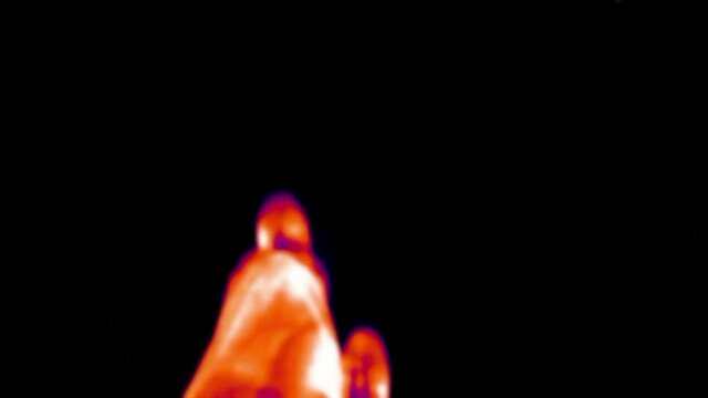 Thermal imaging view of walking, top view. Infrared, thermal, night vision imaging