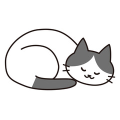 丸くなって幸せそうに眠るハチワレ猫