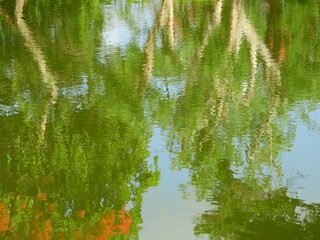 abstract water reflection of tree background