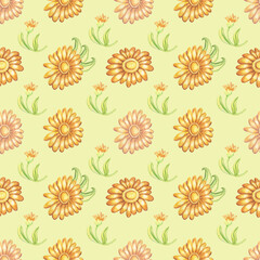 Watercolor seamless pattern with calendula isolated on yellow background.Good for wrapping paper, dresses, napkins, wallpaper,design ,fabric. 