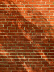 Obraz premium shadow of leaf on brick wall texture