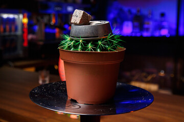 shisha for hookah made of cactus with charcoal