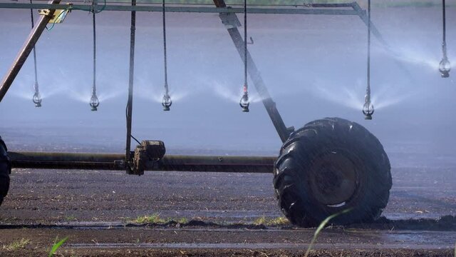Irrigation Center pivot with drop sprinklers in Israel