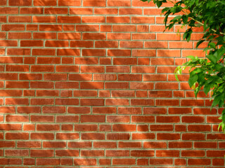 shadow of leaf on brick wall background