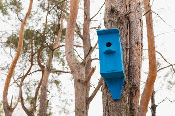 birdhouse, birdhouse, wooden birdhouse 