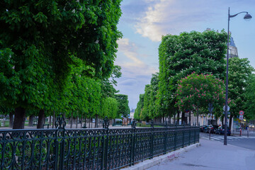close-up of landscape in nature