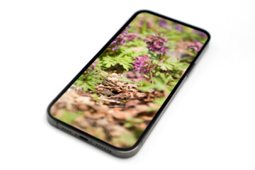 Isolated phone on white background, spring wallpaper