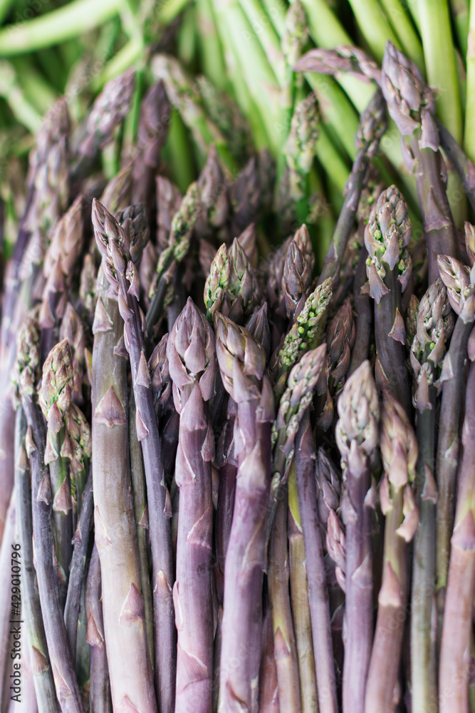 Wall mural bunch of fresh purple asparagus