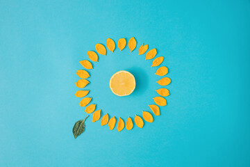 Bright yellow sunflower petals arranged in a circle around the lemon on a light blue background....