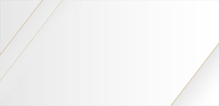 Modern white background with gold lines design