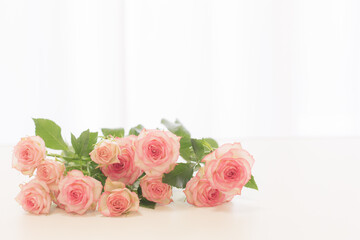 Beautiful bunch of pink and white roses