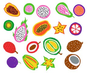 colorful bright hand drawn cute cartoon tropical  exotic fruits  cocnut, carambola, durian, dragon fruit, papaya, kiwiw, lychee