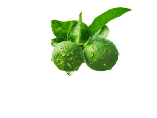Green lemon with water droplets on a white background