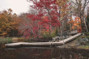 Obraz premium autumn in the park