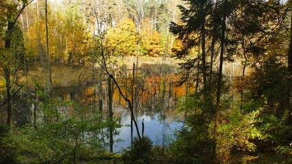 Jesień jeziorko w lesie