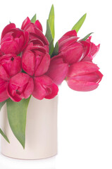 Bouquet of pink tulips on a light background