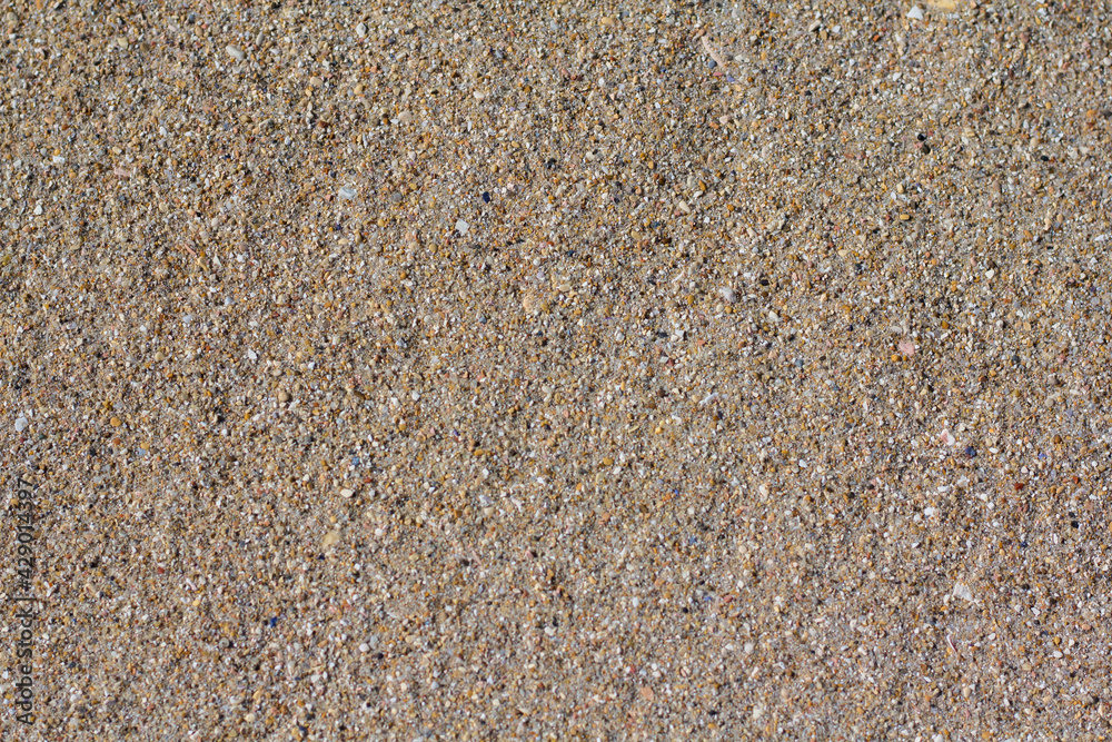 Wall mural fine multi-colored gravel on the shores of the adriatic sea. selective focus. close-up