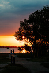 Stunning view of river coast landscape, dark silhouettes of people enjoy sunset and tree branches